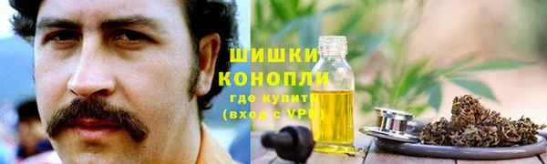 эйфоретик Вяземский