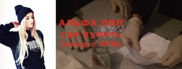 эйфоретик Вяземский