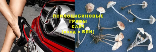 прущая мука Вязники