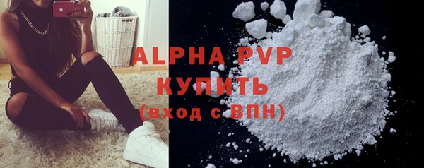 эйфоретик Вяземский