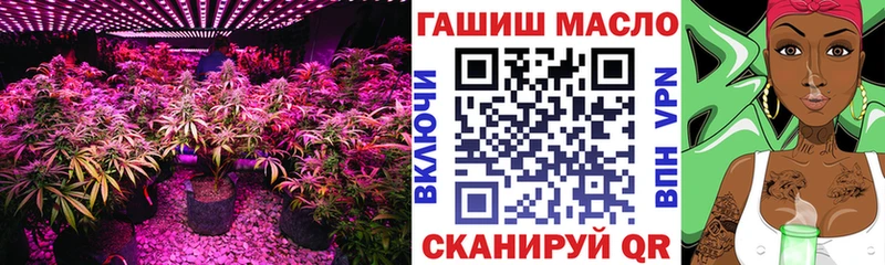 ТГК вейп  Купить закладки  Александровск-Сахалинский 