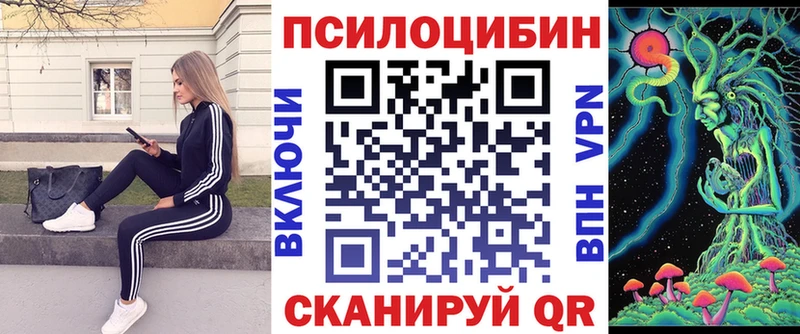 Купить Александровск-Сахалинский Галлюциногенные грибы MAGIC MUSHROOMS